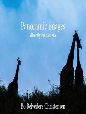 cover image of Panoramic images
